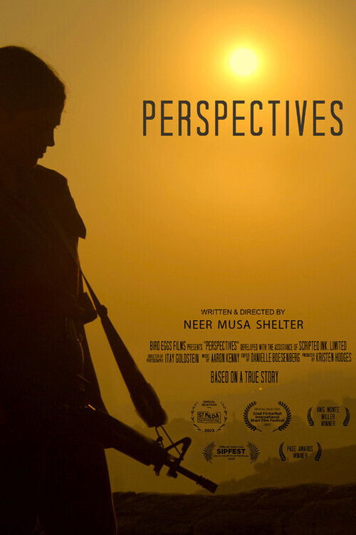 Perspectives (2023) poster