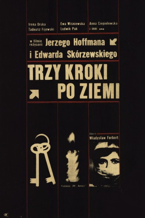 Trzy kroki po ziemi (1965) poster