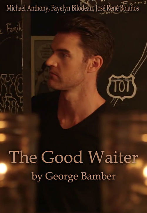 The Good Waiter (2016) poster