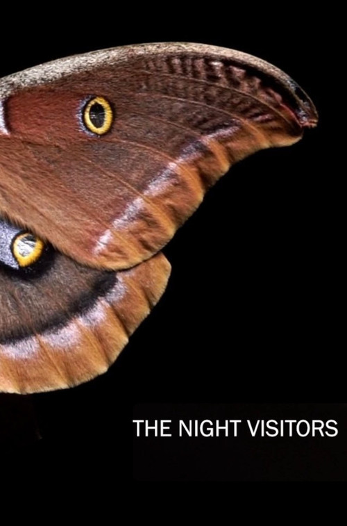The Night Visitors (2023) poster