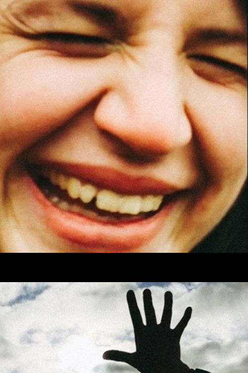 Кролики в свете фар (2016) poster