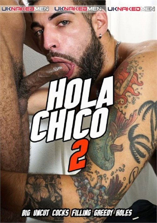 Hola Chico 2 (2024) poster