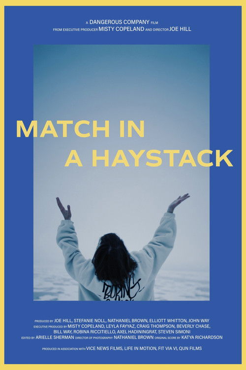 Match in a Haystack (2025) poster