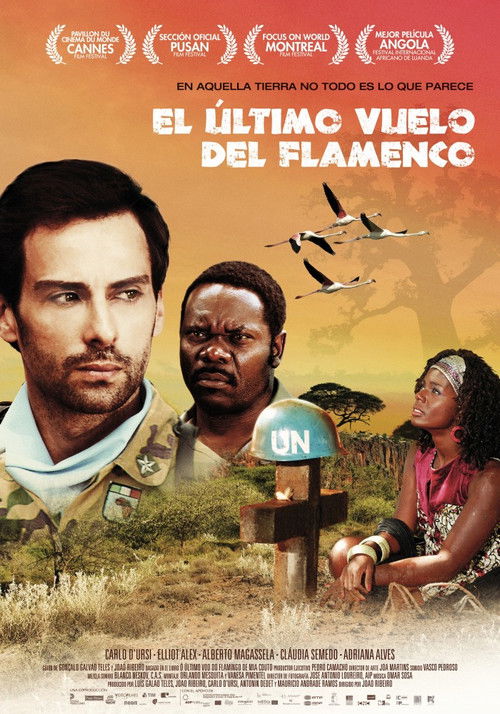 O Último Voo do Flamingo (2010) poster