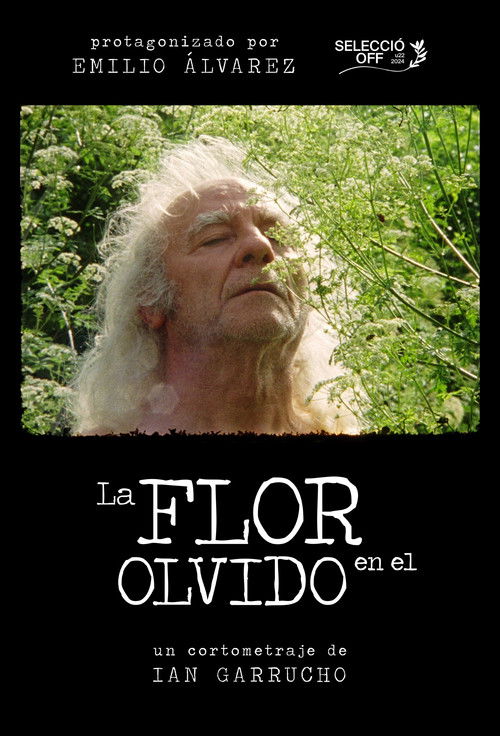 Flower in Oblivion (2024) poster