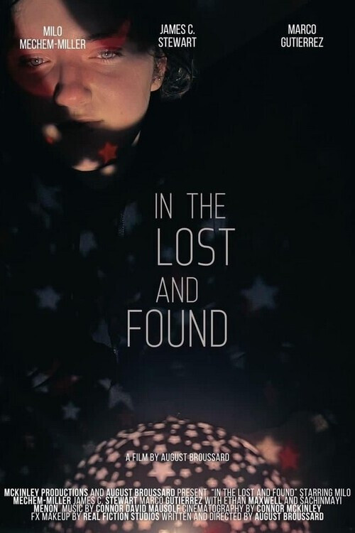 In the Lost and Found (2024) poster
