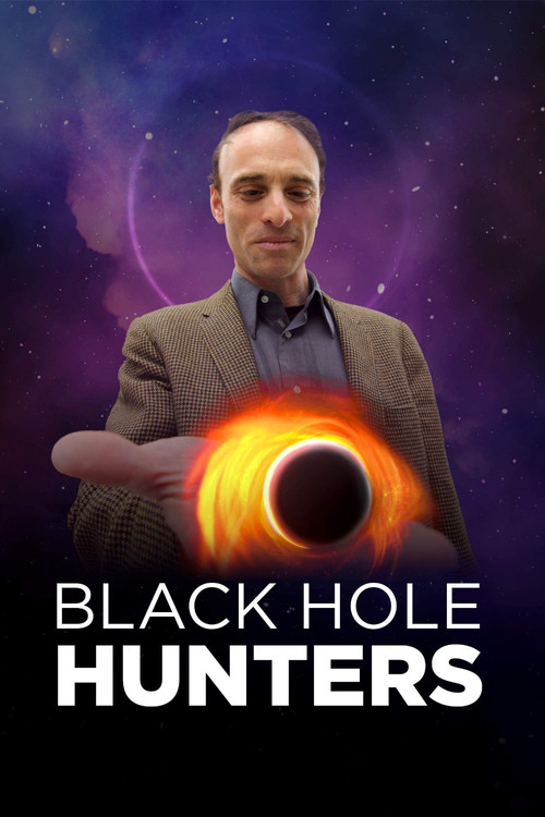 Black Hole Hunters (2019) poster
