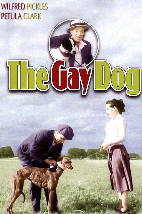 The Gay Dog (1954) poster