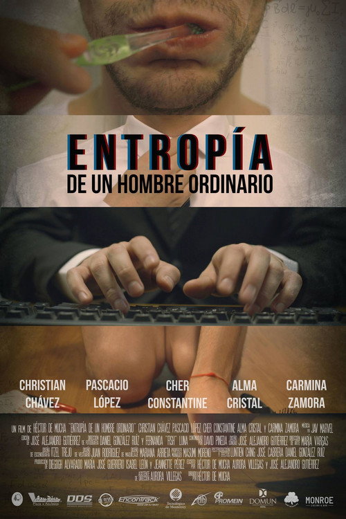 Entropía de Un Hombre Ordinario (2015) poster