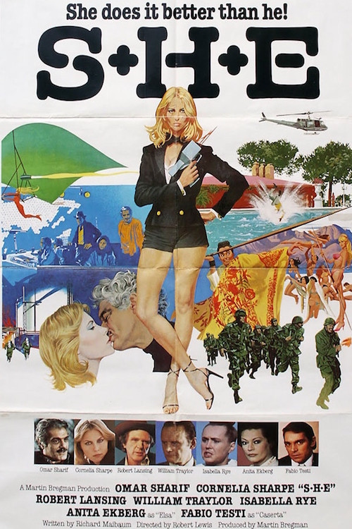 S+H+E: Security Hazards Expert (1980) poster