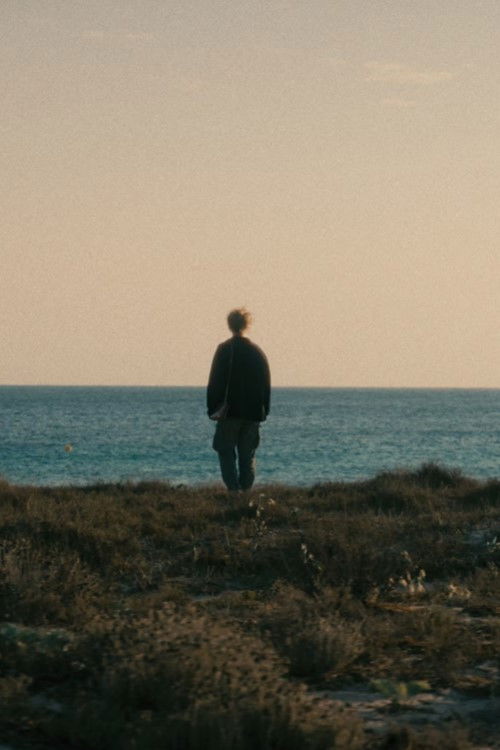 Anemonia (2025) poster