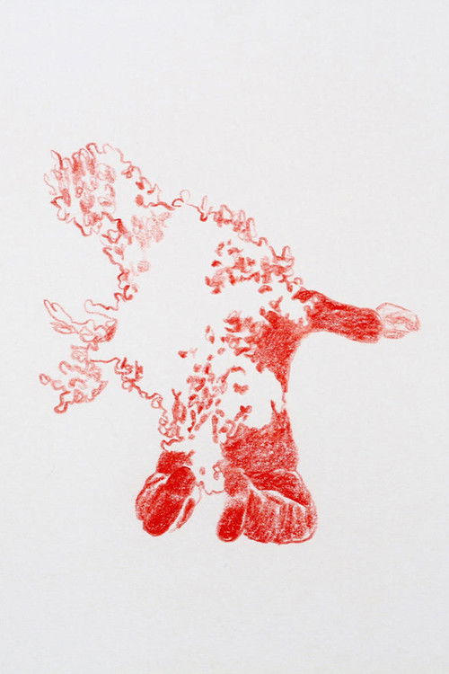 Life Is an Opinion, Fire a Fact (2013) poster