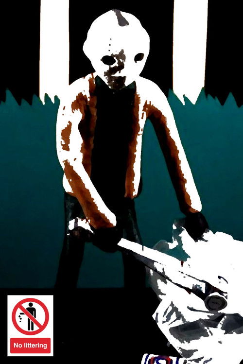 NO LITTERING (2013) poster