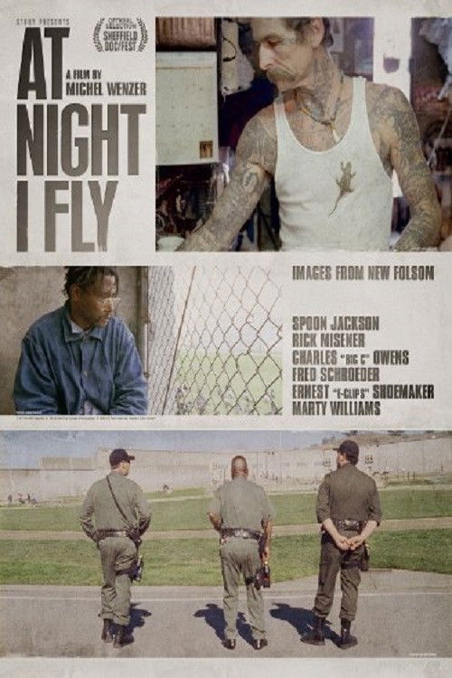 At Night I Fly (2011) poster