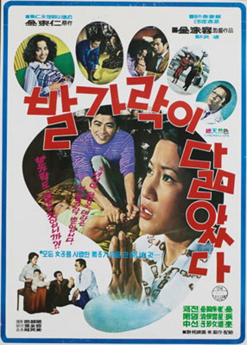 Similar Toes (1976) poster