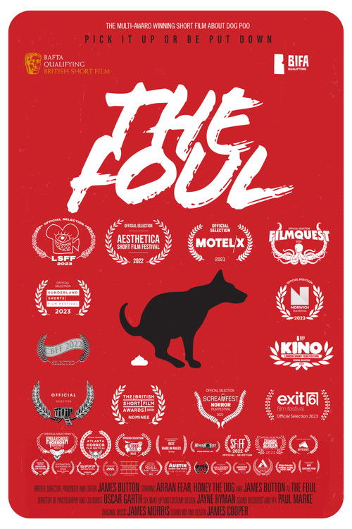 The Foul (2021) poster