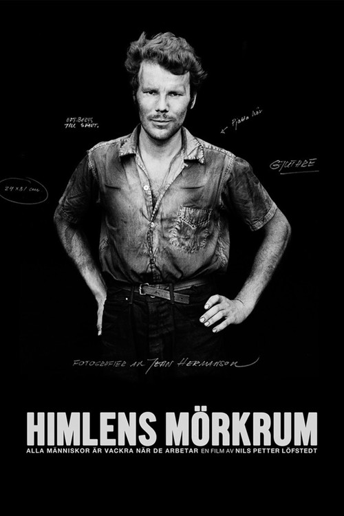 Himlens mörkrum (2017) poster