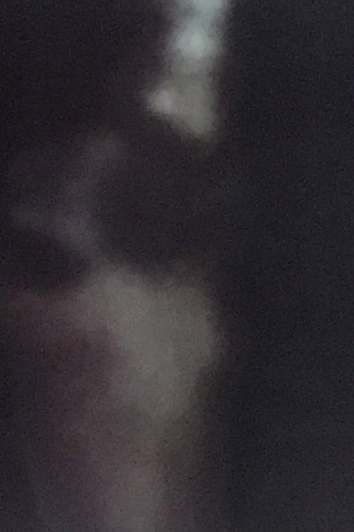 Luce riflessa restituita alla notte (2011) poster