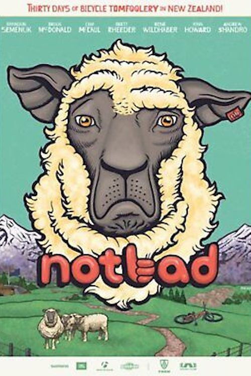 Not Bad (2013) poster
