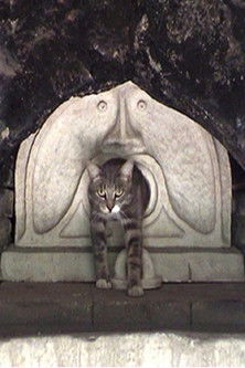 Father, Mother, What Should I Film Today? (2012) poster