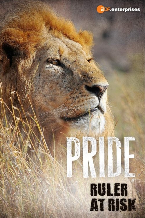 Pride Ruler at Risk (2016) poster