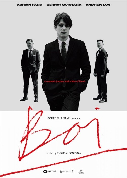 Boi (2019) poster