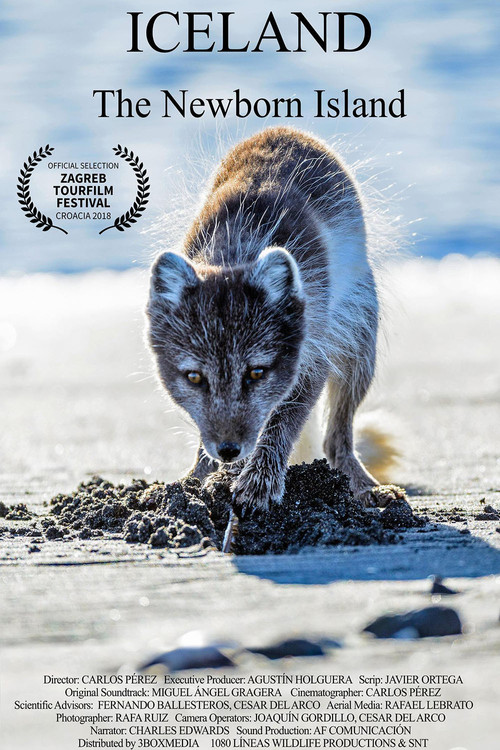 Iceland, the newborn island (2018) poster