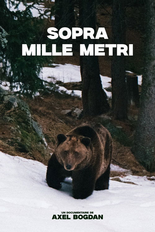 Sopra Mille Metri (2026) poster