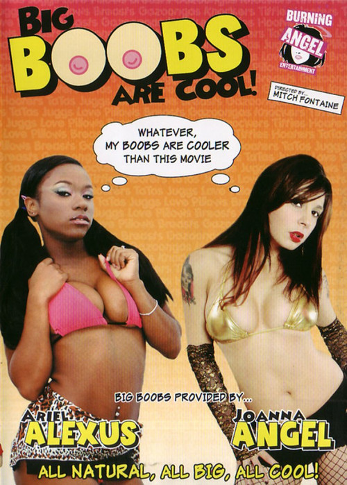 Big Boobs are Cool! (2007) poster