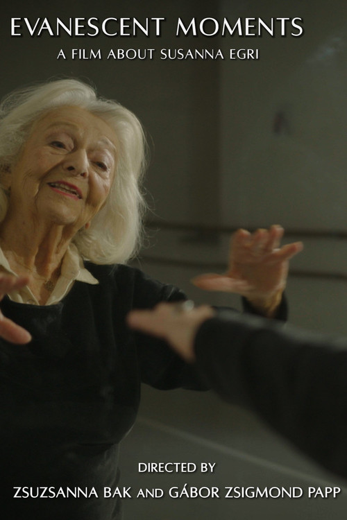 Evanescent Moments poster