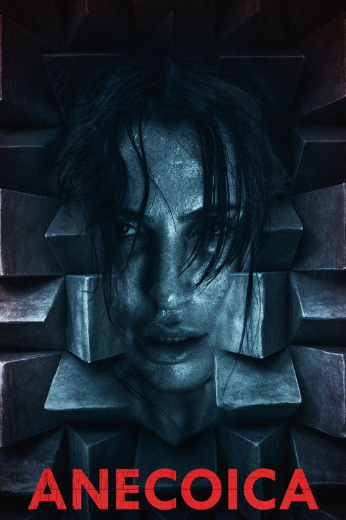 Anecoica (2023) poster