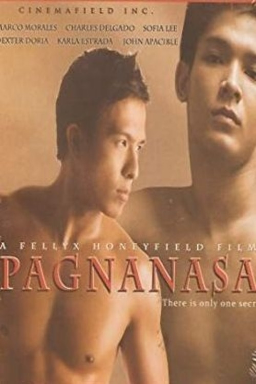 Pagnanasa (2010) poster