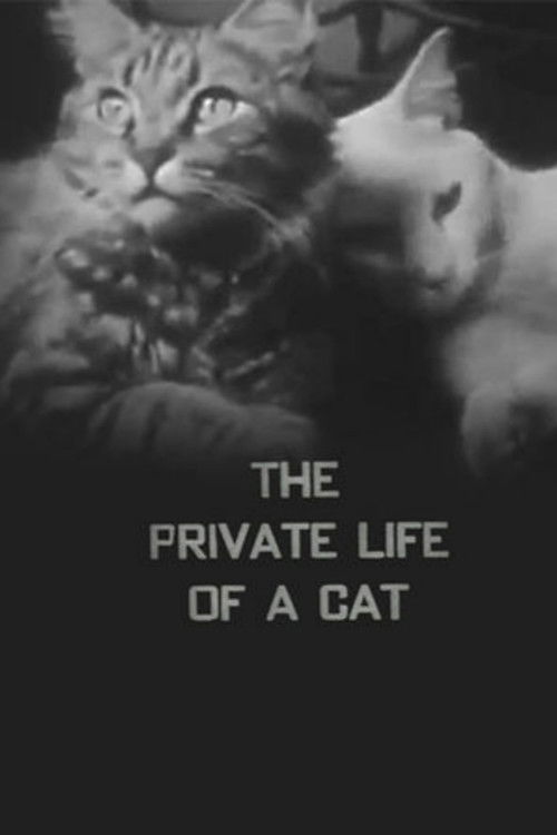 The Private Life of a Cat (1946) poster