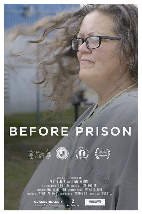 Before Prison (2017) poster