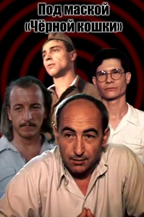 Под маской «Чёрной кошки» (1991) poster