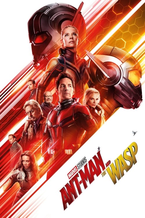 Ant-Man ve Wasp (2018) poster