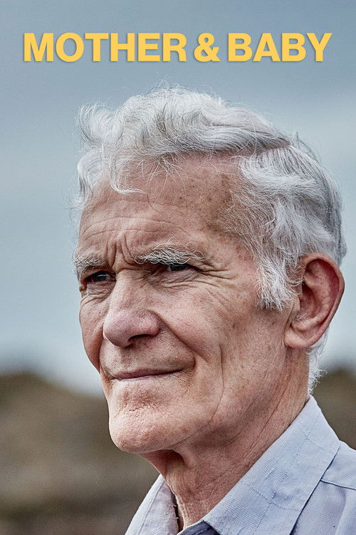 Mother & Baby (2017) poster