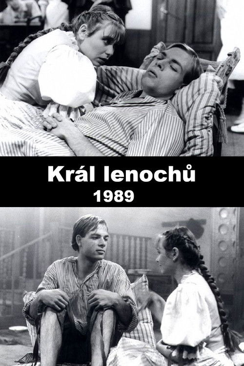 Král lenochů (1989) poster