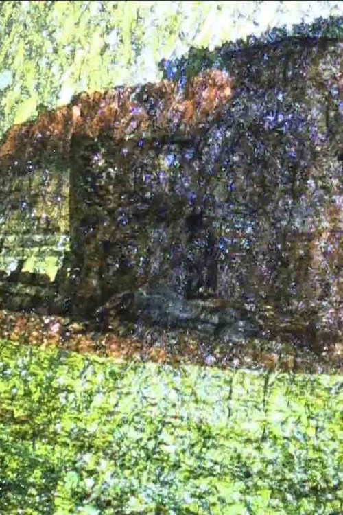 Pons minea (2020) poster