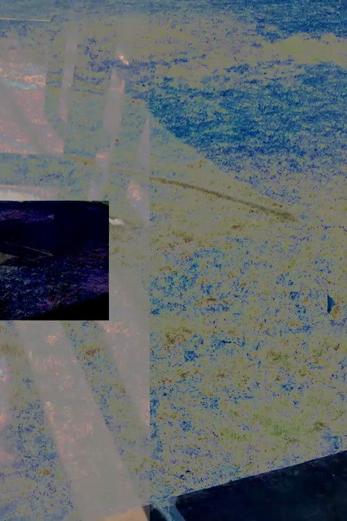 Always on Time, Always Outta Line (2017) poster