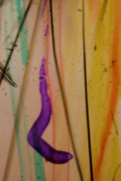 Visions From My Scalp (2023) poster