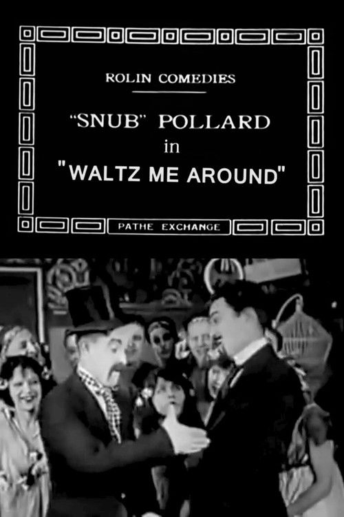 Waltz Me Around (1920) poster