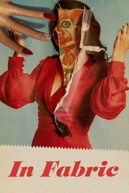 In Fabric (2018) poster