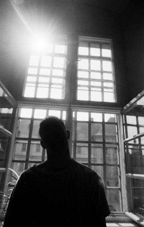 Die wilden Tiere (1969) poster