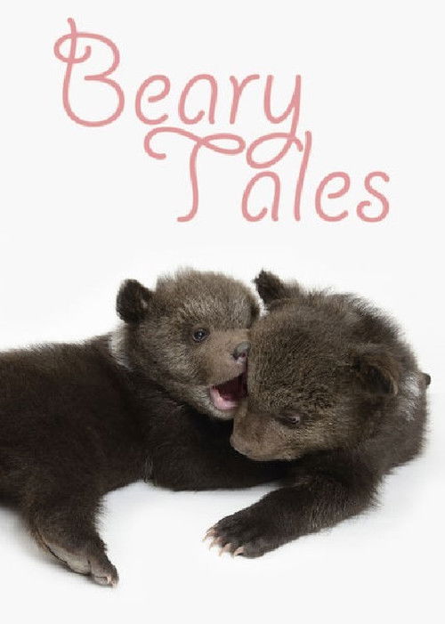 Beary Tales (2013) poster