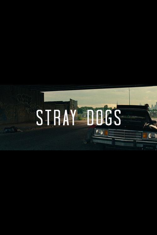 Stray Dogs (2015) poster