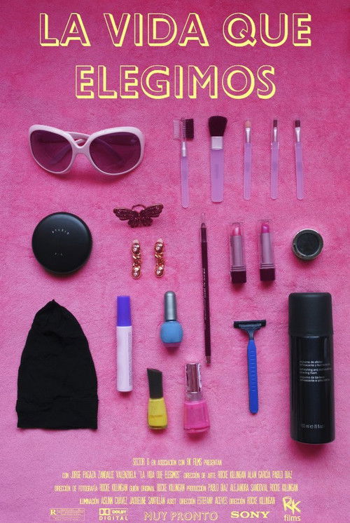 The Life We Have Chosen (2017) poster