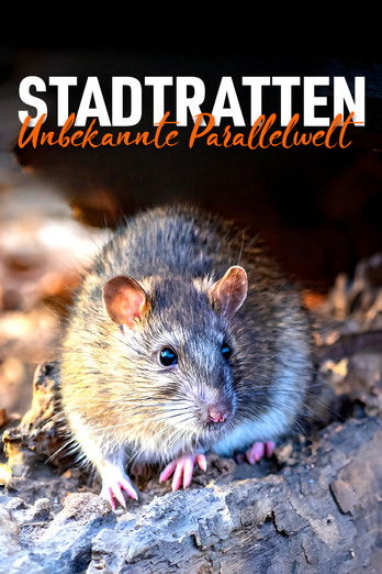 Stadtratten - Unbekannte Parallelwelt (2023) poster