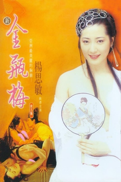 新金瓶梅 第五集 (1996) poster