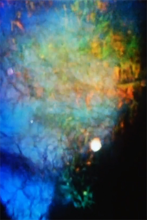 Echoes (2015) poster